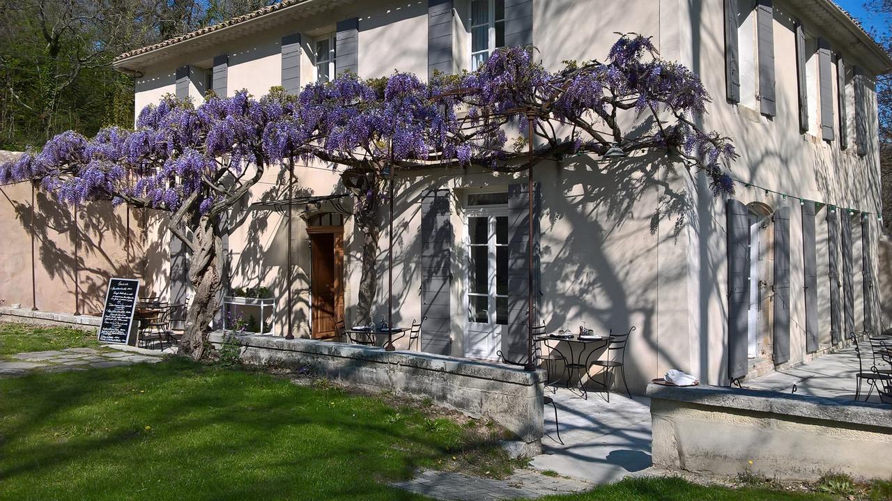 Bed and Breakfast Le Pont De L'Orme Malaucène Exteriér fotografie